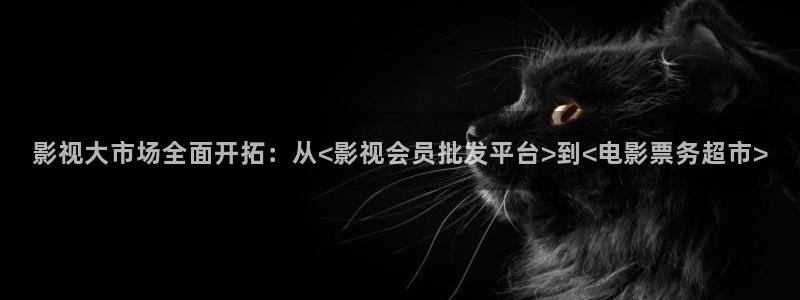 影視大市場全面開拓：從<影視會員批發平臺>到<電影票務超市>